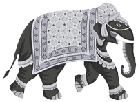 Welcome Gallery Image - Elephant