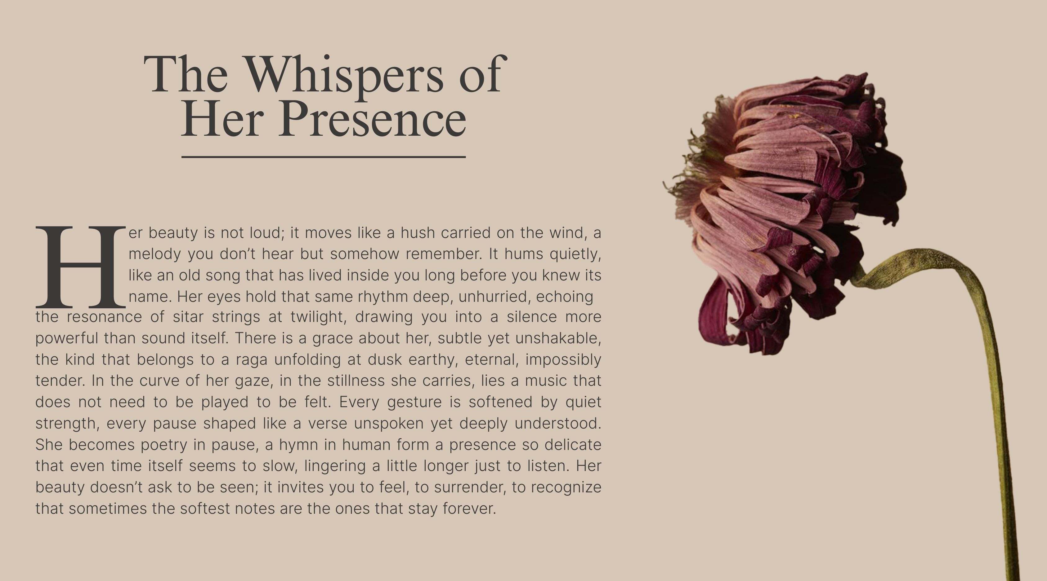 A Quiet moment that feels like a story - Mobile Image 2