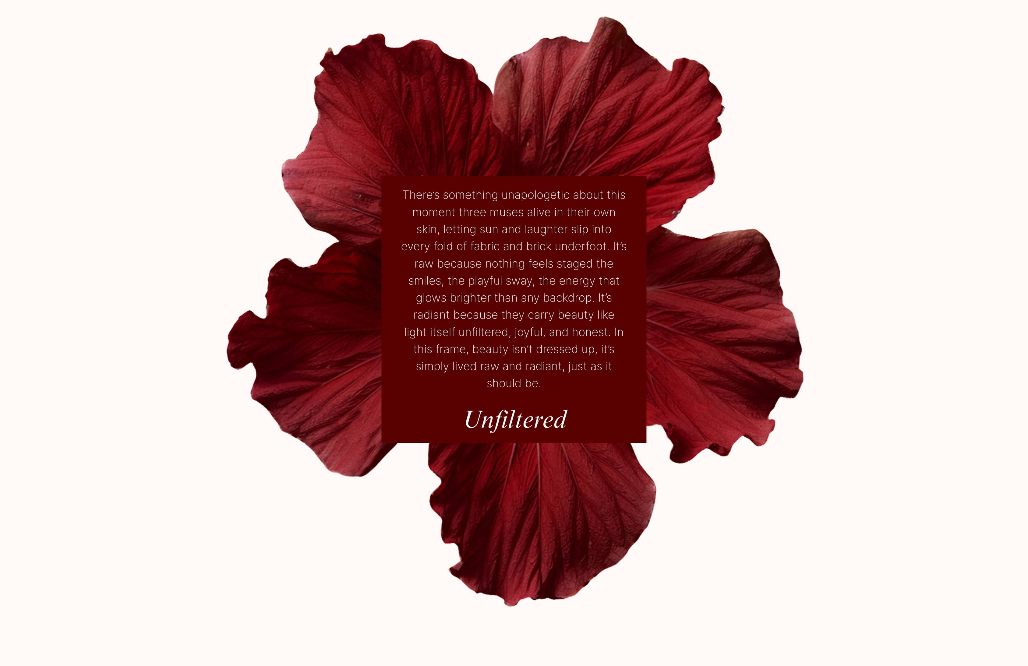 A Quiet moment that feels like a story - Mobile Image 6